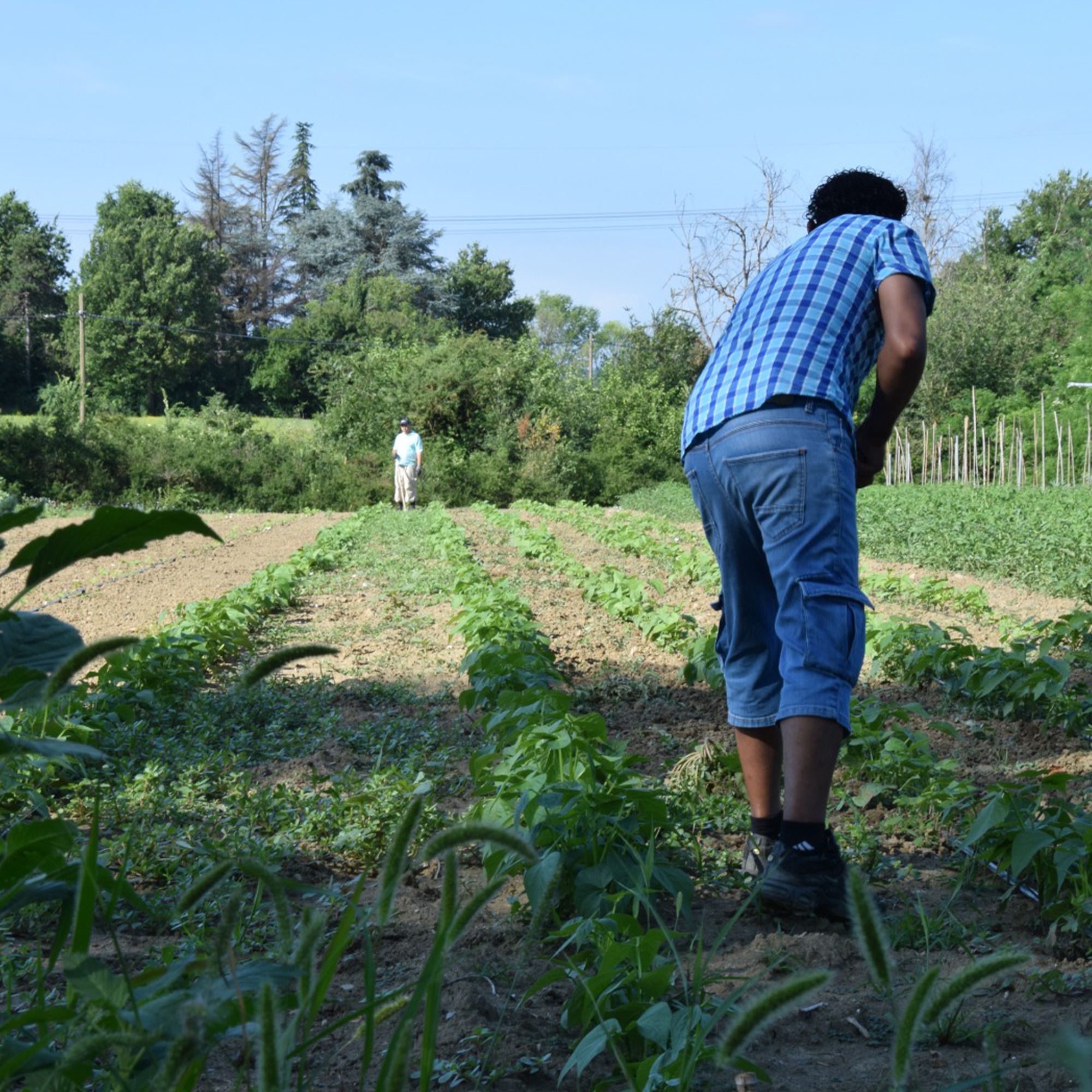 Progetto Sociale__0001_campi 2